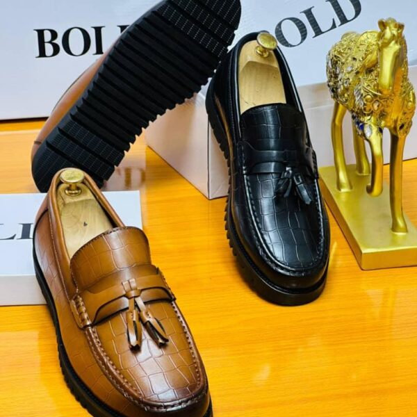 Men Brown and Black Loafers